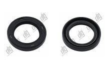 Сальник 19*27*5 (1PM)