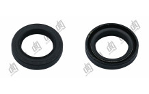 Сальник 19*28*5/6 (1PM)