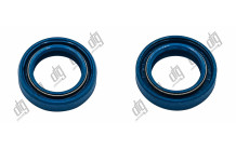 Сальник 19*28,9*7 (0M2)