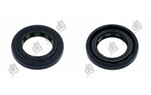 Сальник 19*30*5/5,5 (1PM)