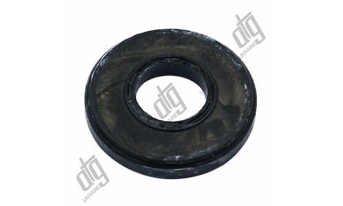 Сальник 19*42*6,5/8 (1PM)