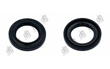 Сальник 20,6*30,7*4,57/6 (1PM)