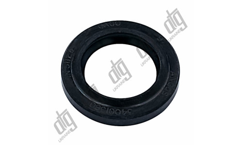 Сальник 20,6*30,7*4,57/6 (1PM)