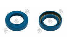 Сальник 21*33*8/9,5 (1PM)