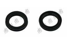 Сальник 21,1*29,5*6 (7V2G)