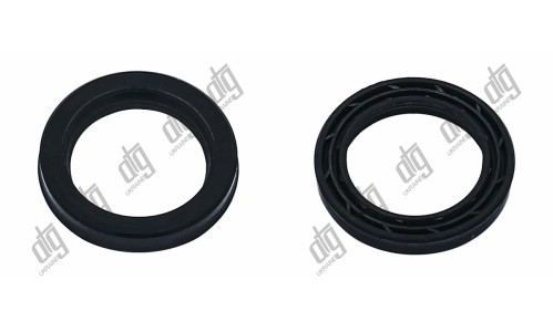 Сальник 22*31*5 (12)