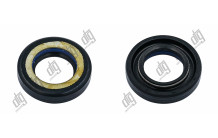 Сальник 22*38,2*8 (7V1)