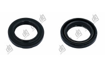 Сальник 22,3*32,2*5,4/6,5 (1PM)