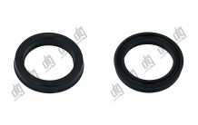 Сальник 23*30*5 (12)