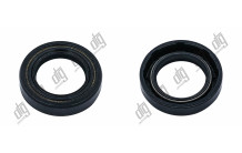 Сальник 23,3*37*7,3 (1PM)