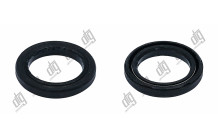 Сальник 23,5*32,7*5/5,35 (1PM)