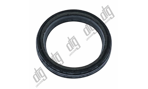 Сальник 24,5*31*4,5 (2)