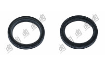 Сальник 24,5*31*4,5 (2)