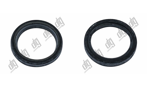 Сальник 24,5*31*4,5 (2)