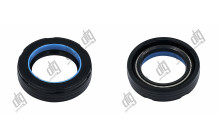 Сальник 25*37,1*9 (7V2)