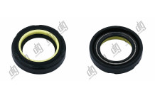 Сальник 25*38,2*8,5 (7V2)