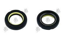 Сальник 25*41*8,5 (7V2)