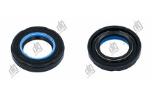 Сальник 25*42*8 (7V2)