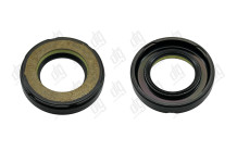 Сальник 25*43,2*9 (7V1)