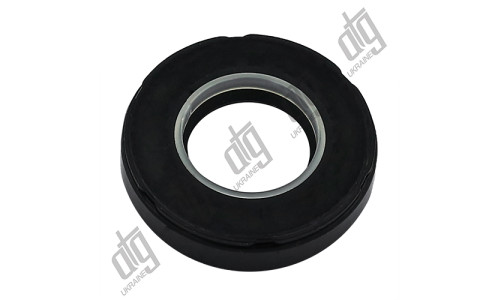 Сальник 25*48,2*10 (7V2)