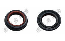 Сальник 25*34,6/38*4,3/7,6 (6V2)