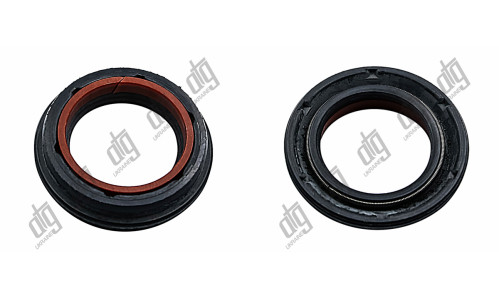 Сальник 25*34,6/38*4,3/7,6 (6V2)