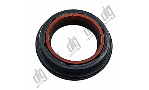 Сальник 25*34,6/38*4,3/7,6 (6V2)