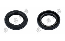 Сальник 25*38*7/7 (1PM)