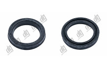 Сальник 23*31*5 (12)