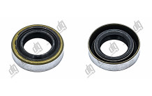 Сальник 18*30*8 (1PMA)