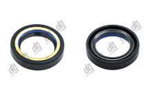 Сальник 29*42*8,5 (7V1)