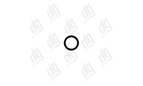 O-Rings 019*3