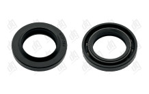 Сальник 19*29*4,4/6,3 (1PM)