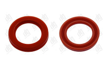 Сальник 22*31*5 (12)