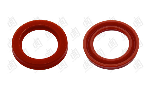 Сальник 22*31*5 (12)