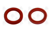 Сальник 23*31*5 (12)