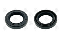 Сальник 20,55*31,97*6,35 (1PM)